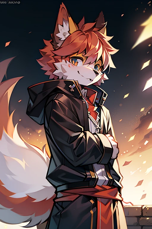 tmasterpiece，eyes with brightness, in a panoramic view, Character focus, solo, Furry male wolf, Off-white fur, Different colored eyes,CasualClothing，Young style，The demeanor is cold,One meter seven height，Particularly handsome, has a tail，BREAK BREAK BREAK，AOEU，vectorial，Line art