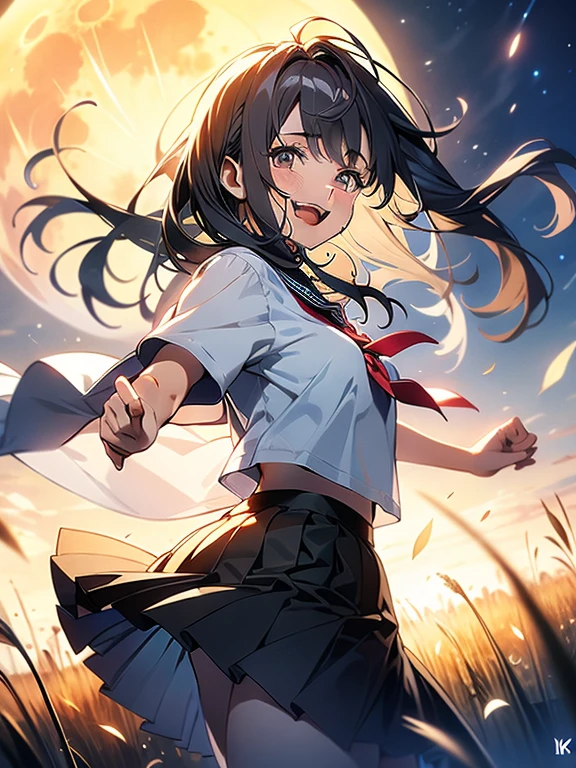 In 8K、highest quality、masterpiece、Ultra-detailed、Ultra-high resolution、Anime Style、1. High school girl、uniform、Pampas grass field、full moon、moonlight、Check skirt、Skirt fluttering in the wind、dance、fun、sweating