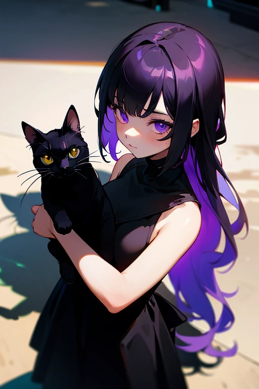 1 girl wearing a black dress，The eyes are purple，Holding a black cat，The light is hazy，best shadow，A high resolution，Need
