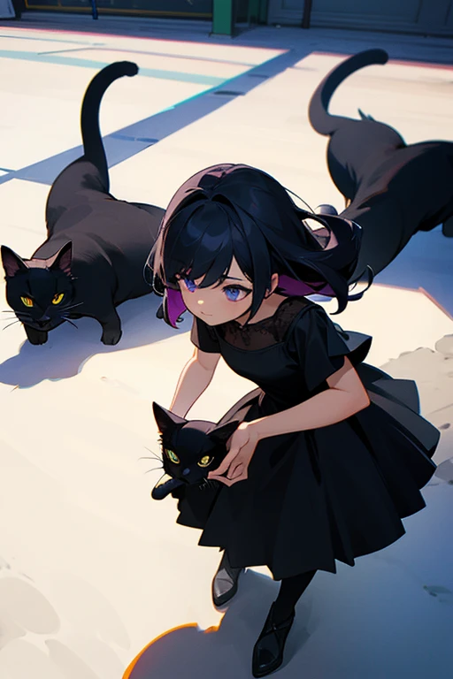 1 girl wearing a black dress,The eyes are purple,Holding a black cat,The light is hazy,best shadow,A high resolution,Need