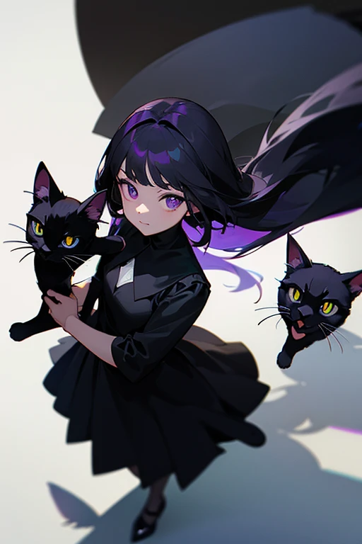 1 girl wearing a black dress,The eyes are purple,Holding a black cat,The light is hazy,best shadow,A high resolution,Need