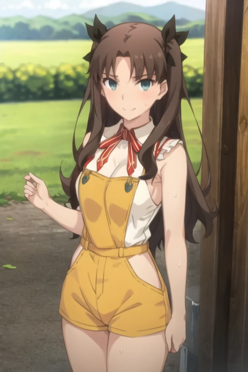 best quality, (masterpiece:1.2), highly detailed, tohsaka rin, 1girl, solo, standing, looking at the viewer, smile, closed mouth, slight blush, long hair, two side up, brown hair, blue eyes, hair ribbon, cleavage, huge breasts, huge thighs, narrow waist, wide hips, thick thighs, curvy, naked overalls, collar, blushing,sweating, (breathing hard), (panting), anime, smile, farm, outdoors,