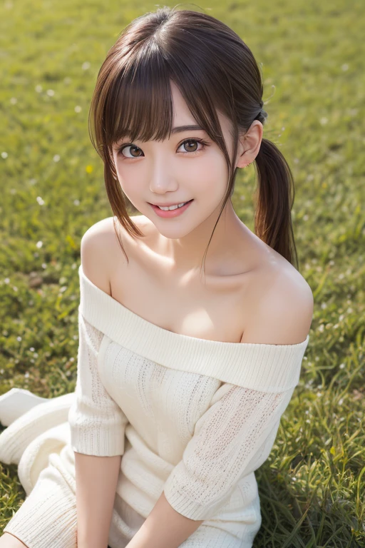 one girl, (a beauty girl, delicate girl:1.3), (:1.3),
break, (Off-the-shoulder knit, White knit dress:1.2),
break, Very fine grain definition, (Symmetrical eyes:1.3),
break, (Lush green park:1.3),
break, Small breasts, Brown eyes, Parted bangs, Brown Hair, girl,
break, (Eye and facial details:1.0),
break, (masterpiece, highest quality, Super detailed, Detailed face, 8k)、Thighs、Selfie、Sitting on the grass、smile、White teeth、Twin tails、White panties、Bra Mise