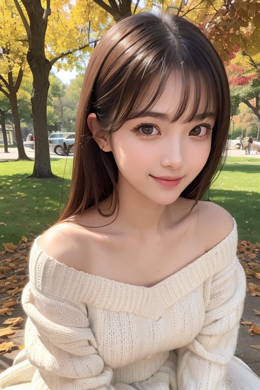 one girl, (a beauty girl, delicate girl:1.3), (24-years-old:1.3),
break, (Off-the-shoulder knit, Oversized knit、White knit dress:1.2),
break, Very fine grain definition, (Symmetrical eyes:1.3),
break, (A park with autumn leaves:1.3),
break, Small breasts, Brown eyes, Parted bangs, Brown Hair, girl,
break, (Eye and facial details:1.0),
break, (masterpiece, highest quality, Super detailed, Detailed face, 8k)、Thighs、Selfie、Sitting on the grass、smile、Side Tail、topless、Bra is visible