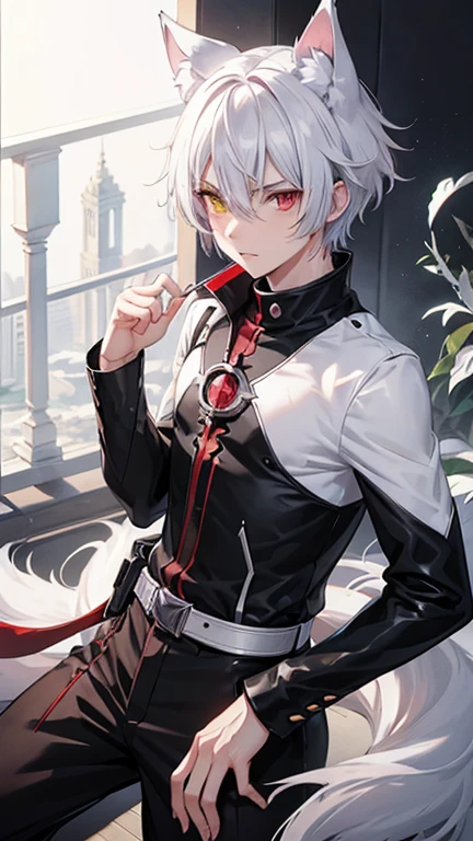 male anime character,(Heterochromia,right eye:Clear yellow eyes, left eye:Fiery iridescent red eyes), Silver Hair, Short Hair,  hourglass tip , Clothes in black and white, male  ,Wolf Ears,Don&#39;t go beyond the frame,Well-built,Upper body only,port, Muscular