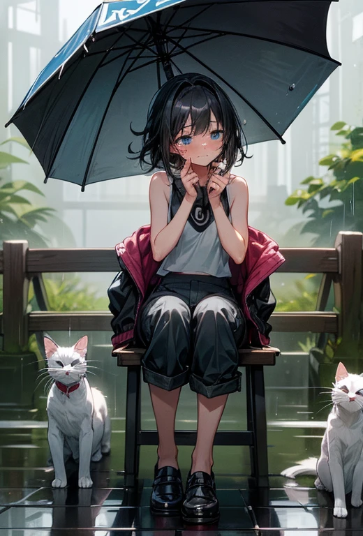 The best of Masterpiece, Improved quality, High quality, Good anatomy, Healthy body, Whole fingers, Normal digits, 16k quality image, Girl, beautiful girl, perfect body, full body, perfect girl, long or short black hair messy right, blue eyes, crying loudly, cry, tears, small breast, white sleeveless tank top, black jacket, mini pants, hard rain, wet clothes, wet body, hand closed her eyes, mouth expressions serious, in railway bridge on the canal, she sit in side bridge beside her there are cats and dogs