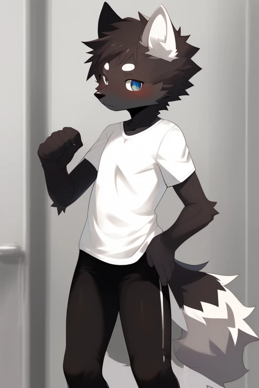 Furry wolf,((Shota)), black spandex tights, white shirt, solo, standing 