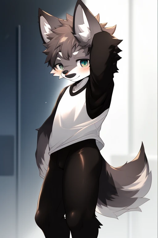 Furry wolf,((Shota)), black spandex tights, white shirt, solo, standing