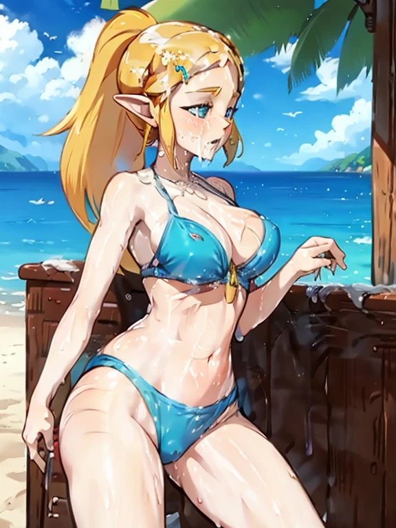 two princess zeldas kissing each other, on beach, wearing bras, big breasts, big butt, beachside view, wetskin, wet hair,