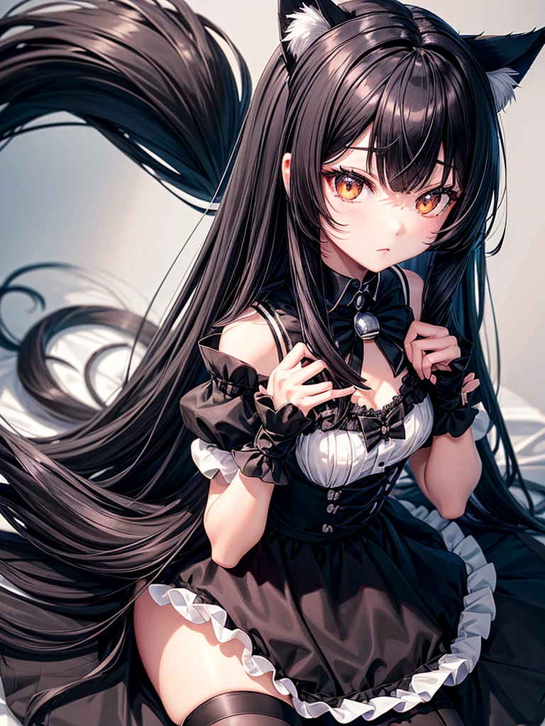 Black long hair girl with black cat ears blackk eyes 2 blackk tails wearing black neko maid outfit and have black collar with silver bell and also have black collar with silver bell at legs