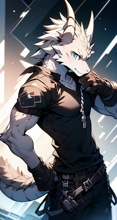 Masterpiece, Cool Pose, Furry Gray Dragon, Medium Strong Body, Blue Eyes, Grey Medium Hair, Combat Black Shirt, Combat Gloves, Combat Pants, Fierce, Good looking