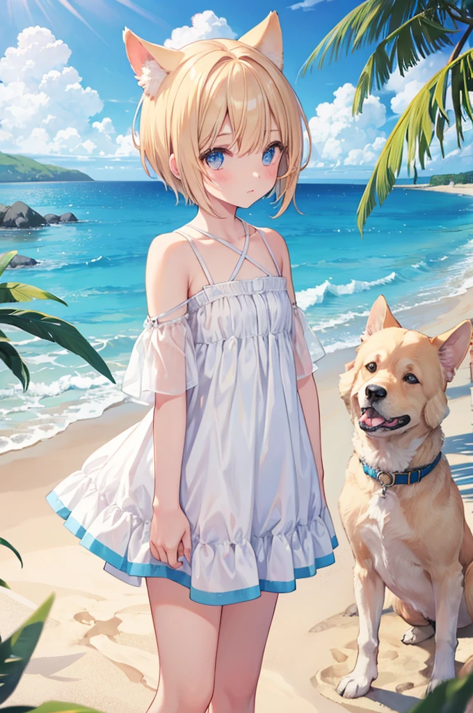 Ocher Hair　Short Hair　Dog ears　boy 　Angel　White Feather　blue sea　White sand beach　Everlasting summer