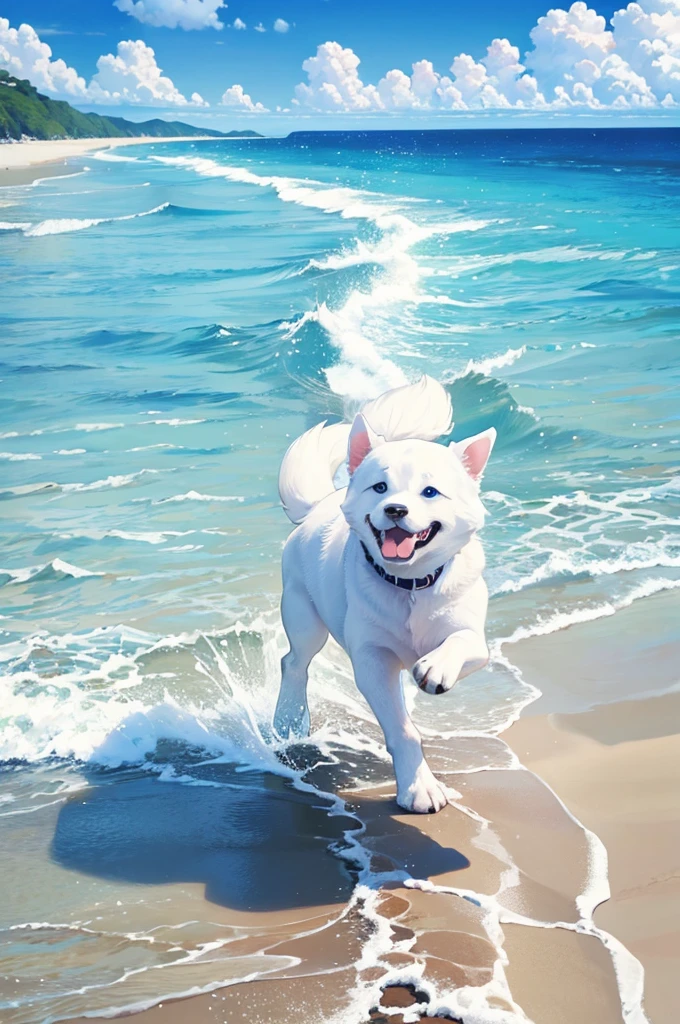 Dog running on white sand beach Transparent blue sea under the blue sky Fantastic Summer