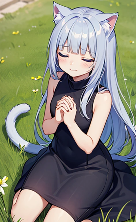 (masterpiece:1.4、top-quality、illustration)、(character focus、,cowboy shot:1.3)、(from above:1.4),(1girl),(forced smile:1.3),(Beautiful eyes:1.4),cute face,blue eyes、(tareme:1.3)、(cat ears,cat tails),
),(kneeling:1.4),、(own hands clasped:1.4),(closed eyes:1.4),
(blue grey hair),(long hair:1.5)、
,(meadow:1.3),(sleeveless turtleneck dress:1.5),
(blunt bangs),(sidelocks:1.3), (small breasts)、
、slender、