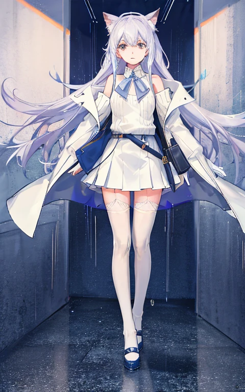 Dog ears, cropped shoulders,White knee-length stockings,Superskirt,perfect body figure,Sweaters,see-through raincoat,plumw