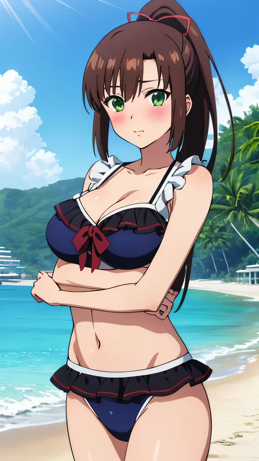 masterpiece, best quality, 8k, anime art style, Kirasaka Sayaka, Dark brown hair, ponytail, hair ribbon, (swimsuit,frills, beach, blush, blue sky), looking at the viewer, green eyes, light in the eyes, (big breasts: 0.7), cowboy shot