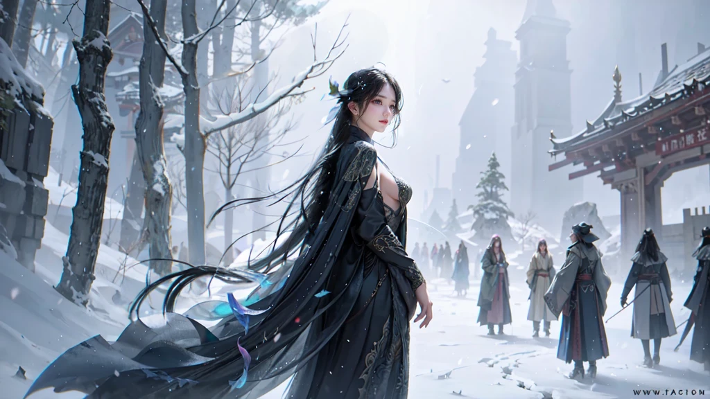 Long straight black hair fluttering in the snow，Snow White，snow