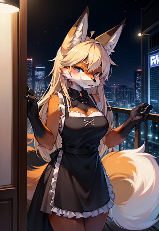 (masterpiece:1.3), (best quality:1.2),(2D:1.0), (anime:1.0), (illustration:1.0), (sharp:1.2), (night_environment), (nightclub), (clear, shiny:0.8), (impasto:1.1), (ultra-detailed:1.0) (1boy, solo), (fox_girl, anthro furry:1.6), (anthro_female_fox:1.2), big boobs, fluffy fur, detailed white and black fluffy fur, apron,