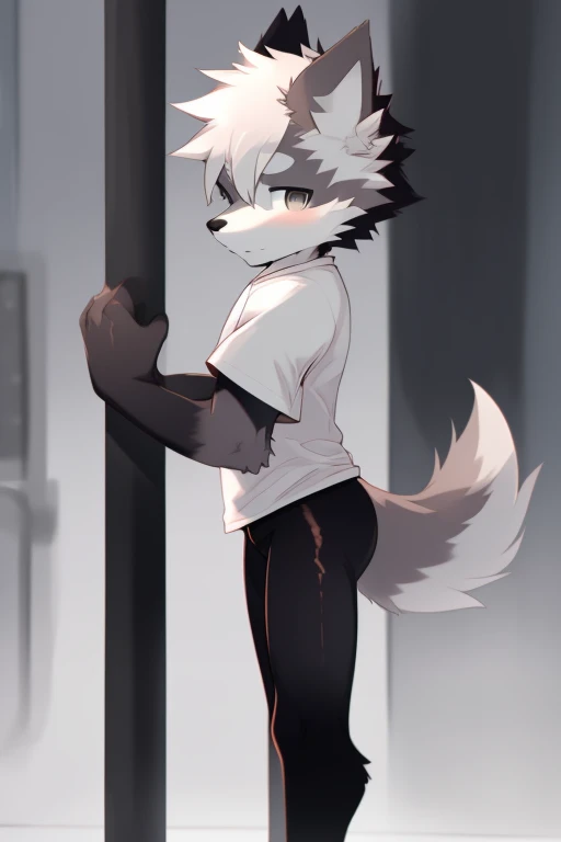 Furry wolf,((Shota)), black spandex tights, white shirt, solo, standing 