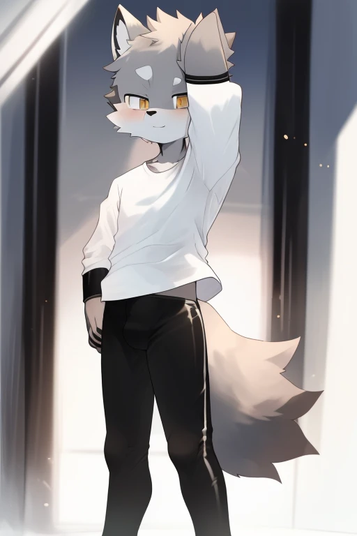 Furry, wolf,((Shota)), black spandex leggings, white shirt, solo, standing 