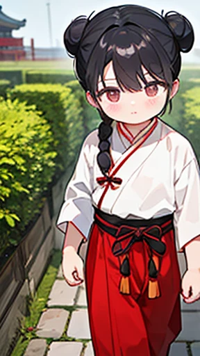 ancient China、ancient Chinaの衣装を着た少年、Intelligent boy、Looking into the camera、There is a topknot on the head.、Walking Alone、Hanfu、Black Hair