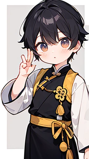 Ancient Chinese、Boy in ancient Chinese costume、Intelligent boy、Looking into the camera、There is a single topknot on the head.、hanfu、Hanfu、Black Hair、Standing pose
