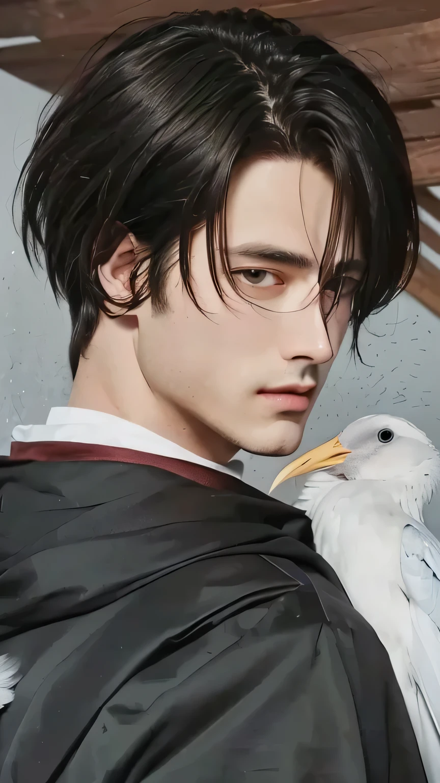 Handsome image of a man with a bird on his shoulder, levi ackerman.