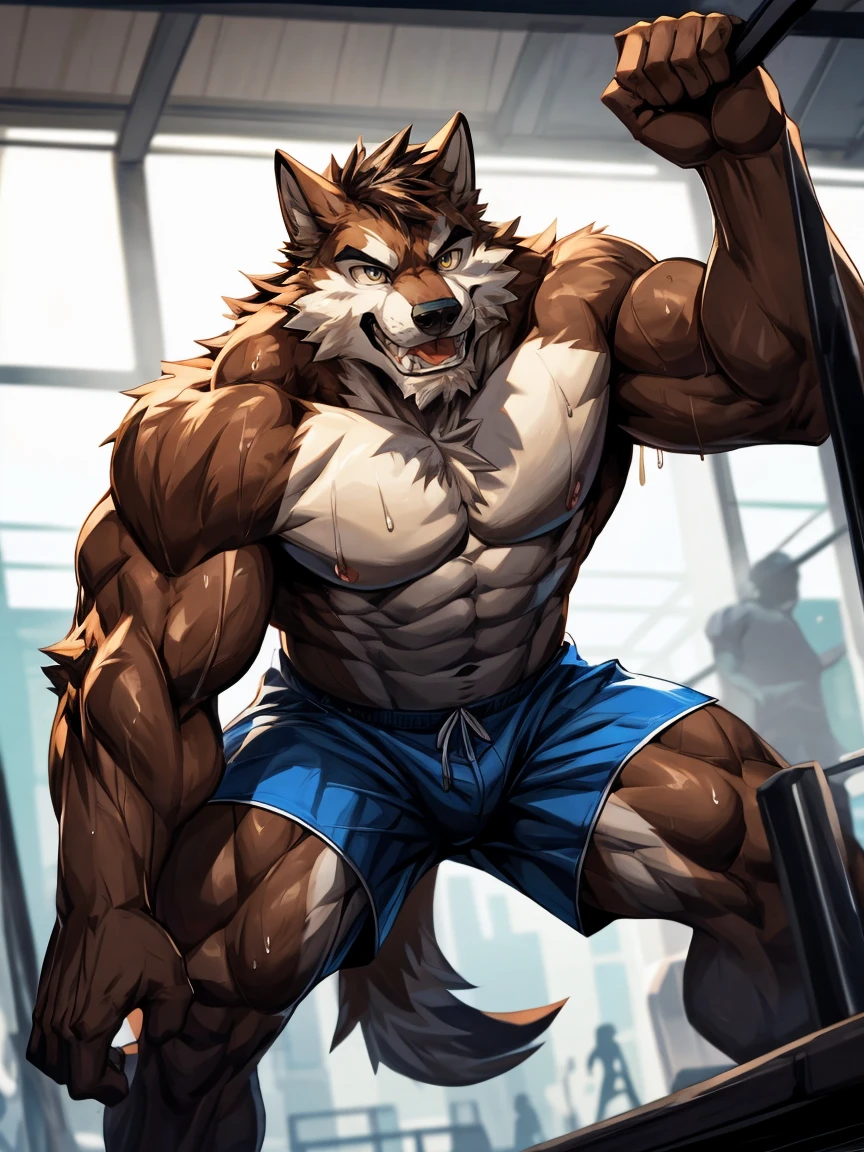 (2D cel animation),(Dynamic Angle:1.5),Depth of Field, Motion blur, absurd, looking at the audience, (best quality), (masterpiece), (Super detailed),Be focused,(Anthropology Male Light Brown:1.3),(Droopy eyes),(muscular:1.2),(Masculinity:1.5),(aldult:1.3),(Grit your teeth:1.5),(Wolf Tail),(nude),Gym,(cool pose),(shorts),(Sweating:1.5),(author:Empty Ghost),author:Traver009
