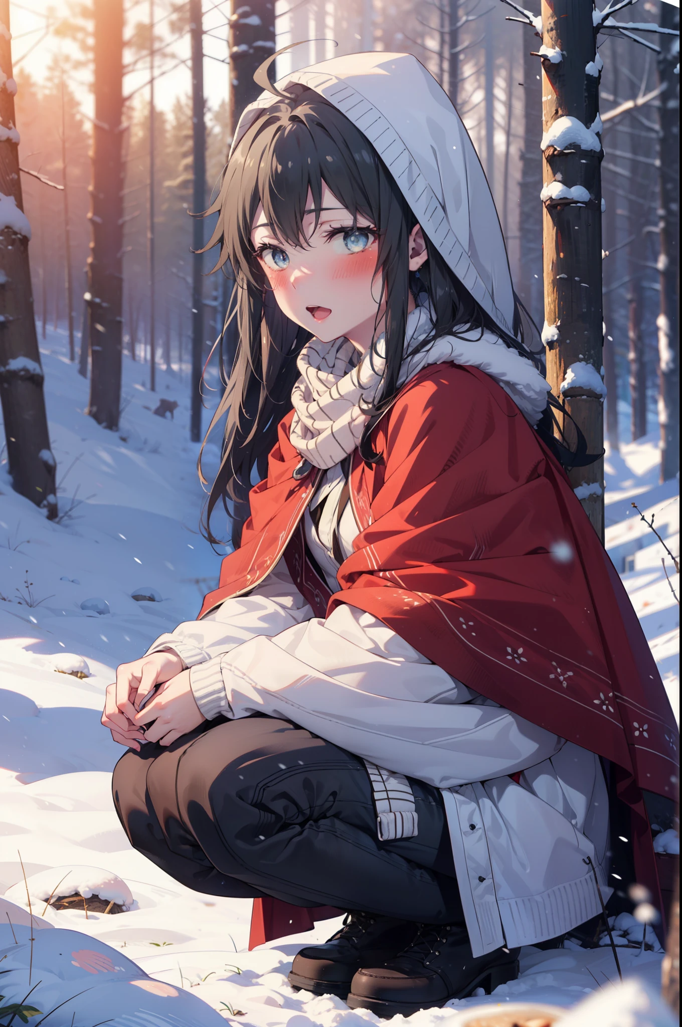 yukinoyukinoshita, yukino yukinoshita, Black Hair, blue eyes, Long Hair, Ahoge,smile,blush,White Breath,
Open your mouth,snow,Ground bonfire, Outdoor, boots, snowing, From the side, wood, suitcase, Cape, Blurred, Increase your meals, forest, White handbag, nature,  Squat, Mouth closed, フードed Cape, winter, Written boundary depth, Black shoes, red Cape break looking at viewer, Upper Body, whole body, break Outdoor, forest, nature, break (masterpiece:1.2), highest quality, High resolution, unity 8k wallpaper, (shape:0.8), (Beautiful and beautiful eyes:1.6), Highly detailed face, Perfect lighting, Highly detailed CG, (Perfect hands, Perfect Anatomy),