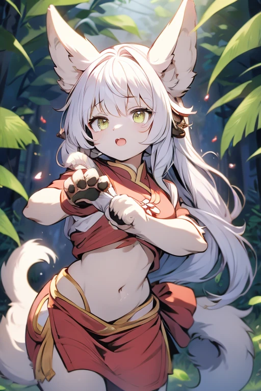 Animal ears　girl　Kung Fu