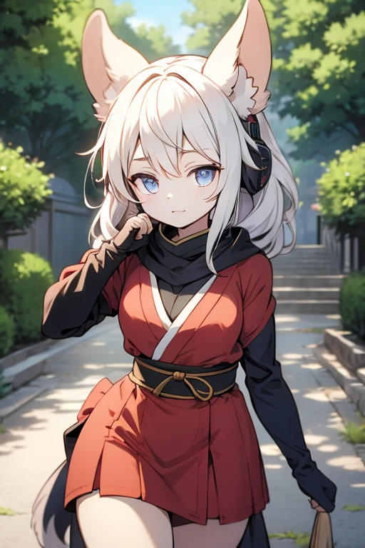 Animal ears　girl　Shinobi costume