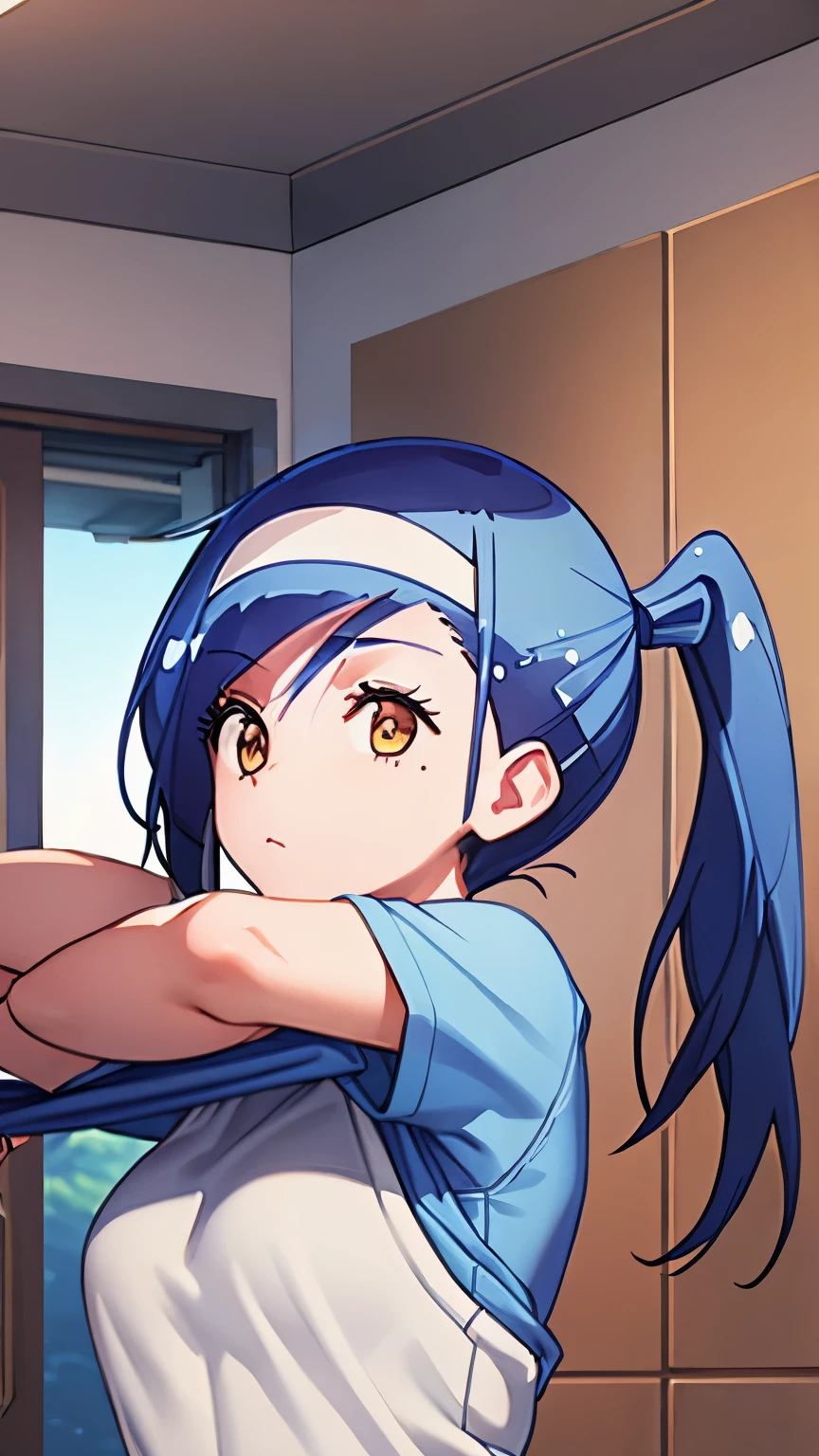 ((masterpiece)), ((best quality)), ((4K)), girl, lift shirts, pinch shirts