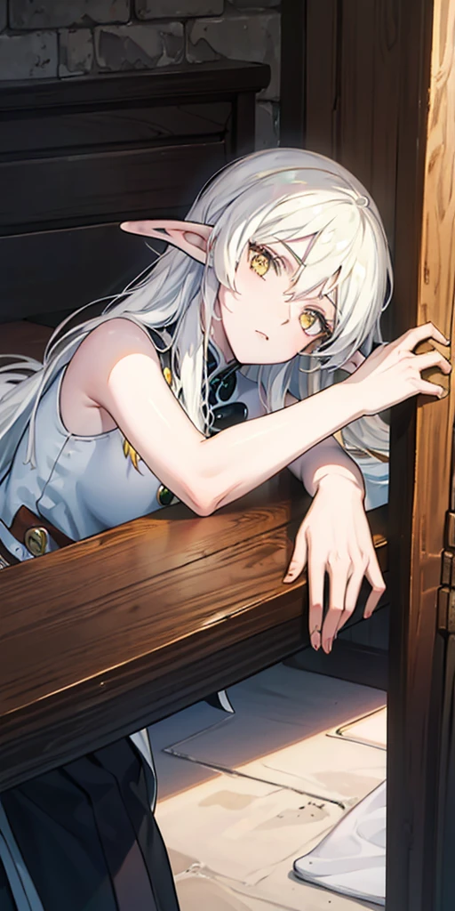 masterpiece, best quality, high quality, Erwin, elf, long hair, white hair, yellow eyes
