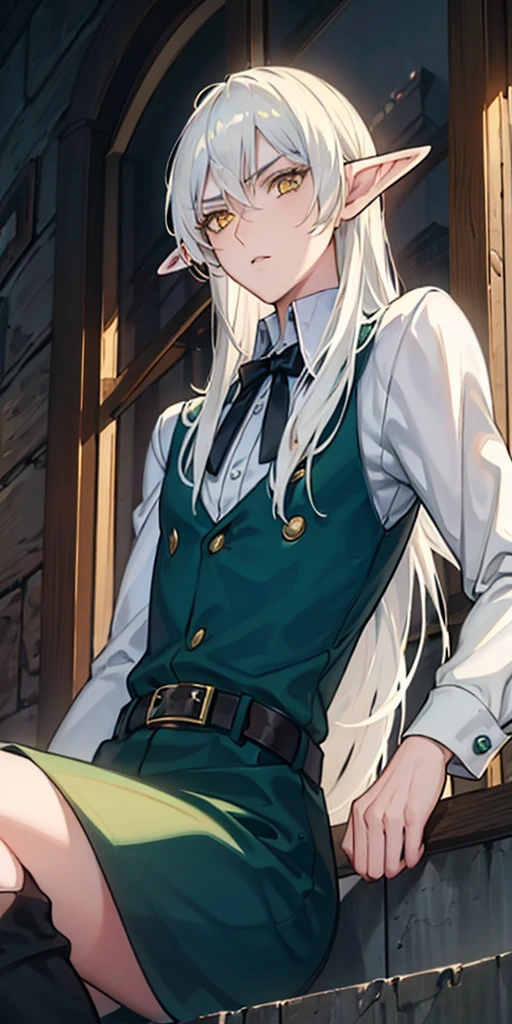 masterpiece, best quality, high quality, Erwin, elf, long hair, white hair, yellow eyes