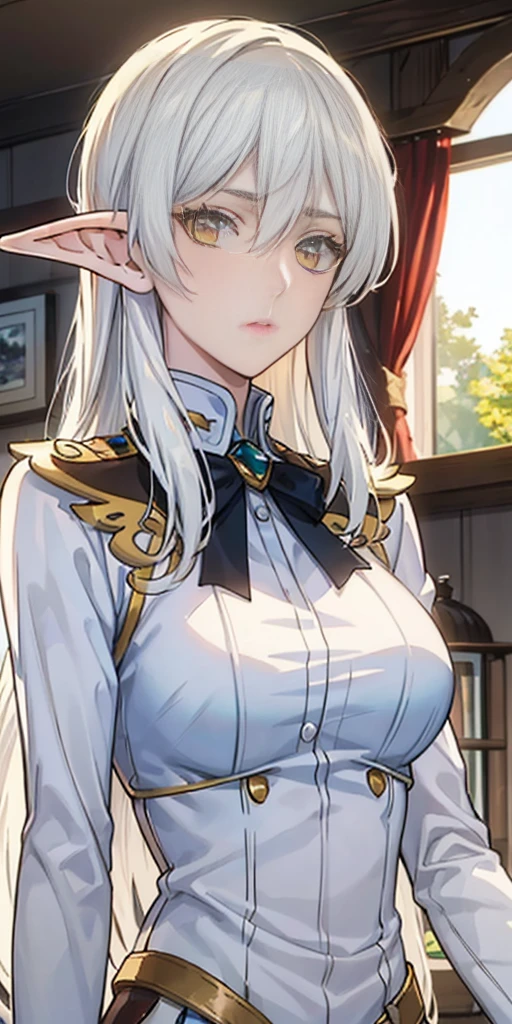 masterpiece, best quality, high quality, Erwin, elf, long hair, white hair, yellow eyes
