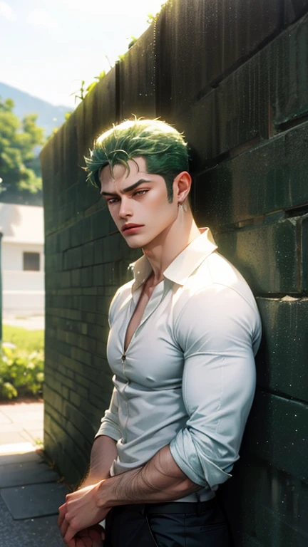 Handsome, High quality, 4k, 8k, 1 man, alone, Rononoa Zoro, green hair, shirt, pants, sexy, plain wall in the background, tanned skin, muscular