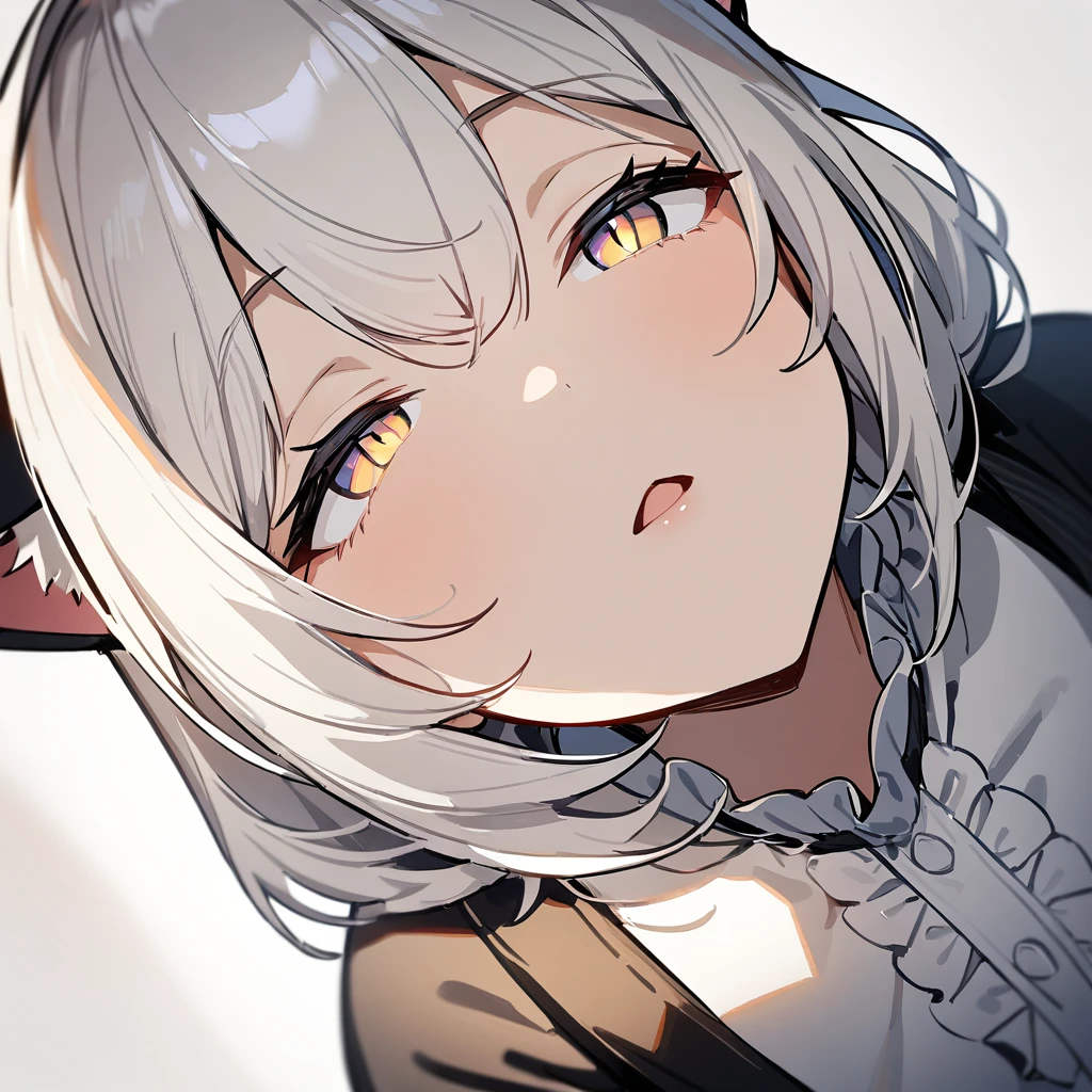 1girl,portrait,Cat ear,Slit pupil,masterpiece,best quality, very aesthetic,absurdres,highlight,center frills,cat ear,medium shot,looking at viewer,half closed eyes,front view,(looking up:1.3),Parted lips,kiss,from above,Dutch angle,straight-on,White hair