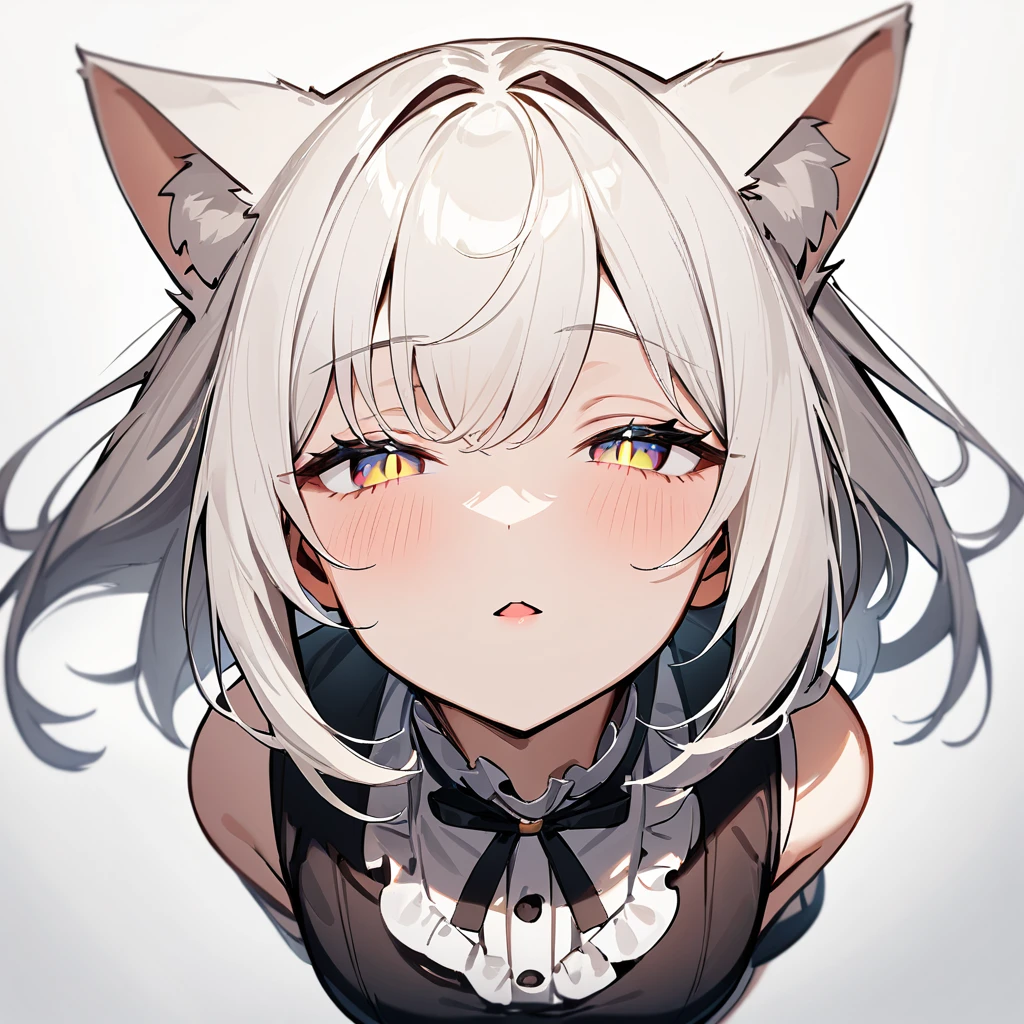 1girl,portrait,Cat ear,Slit pupil,masterpiece,best quality, very aesthetic,absurdres,highlight,center frills,cat ear,medium shot,looking at viewer,half closed eyes,front view,(looking up:1.3),Parted lips,kiss,(from above:1.3),Dutch angle,straight-on,White hair