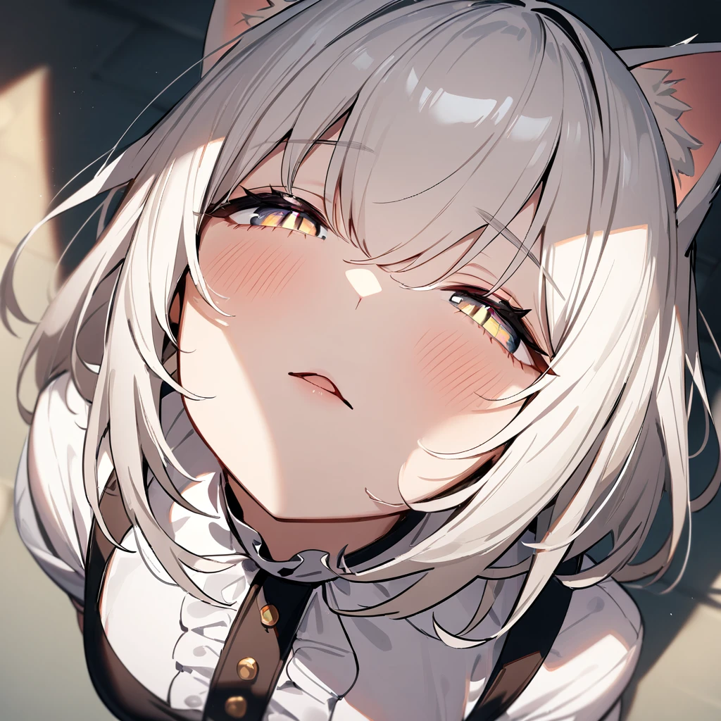 1girl,portrait,Cat ear,Slit pupil,masterpiece,best quality, very aesthetic,absurdres,highlight,center frills,cat ear,medium shot,looking at viewer,half closed eyes,front view,(looking up:1.3),Parted lips,kiss,(from above:1.3),Dutch angle,straight-on,White hair
