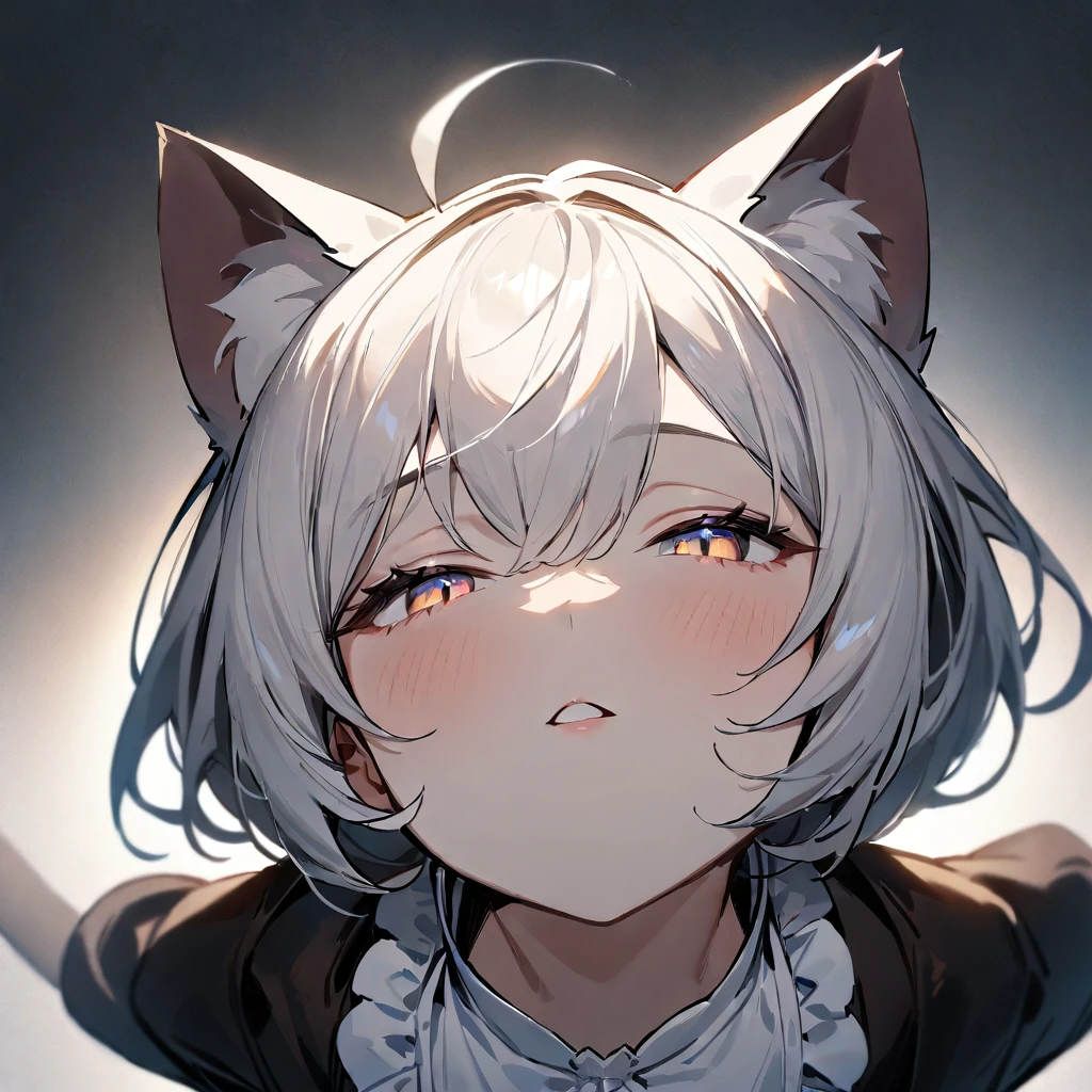 1girl,portrait,Cat ear,Slit pupil,masterpiece,best quality, very aesthetic,absurdres,highlight,center frills,cat ear,medium shot,looking at viewer,half closed eyes,front view,(looking up:1.3),Parted lips,kiss,(from above:1.3),Dutch angle,straight-on,White hair,outstretched arms