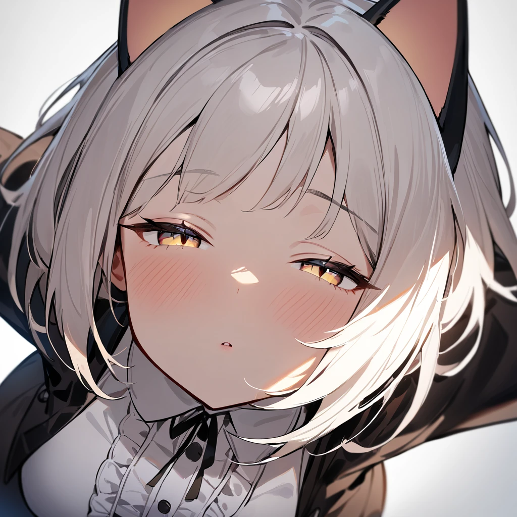 1girl,portrait,Cat ear,Slit pupil,masterpiece,best quality, very aesthetic,absurdres,highlight,center frills,cat ear,medium shot,looking at viewer,half closed eyes,front view,(looking up),Parted lips,kiss,(from above),Dutch angle,straight-on,White hair,outstretched arms