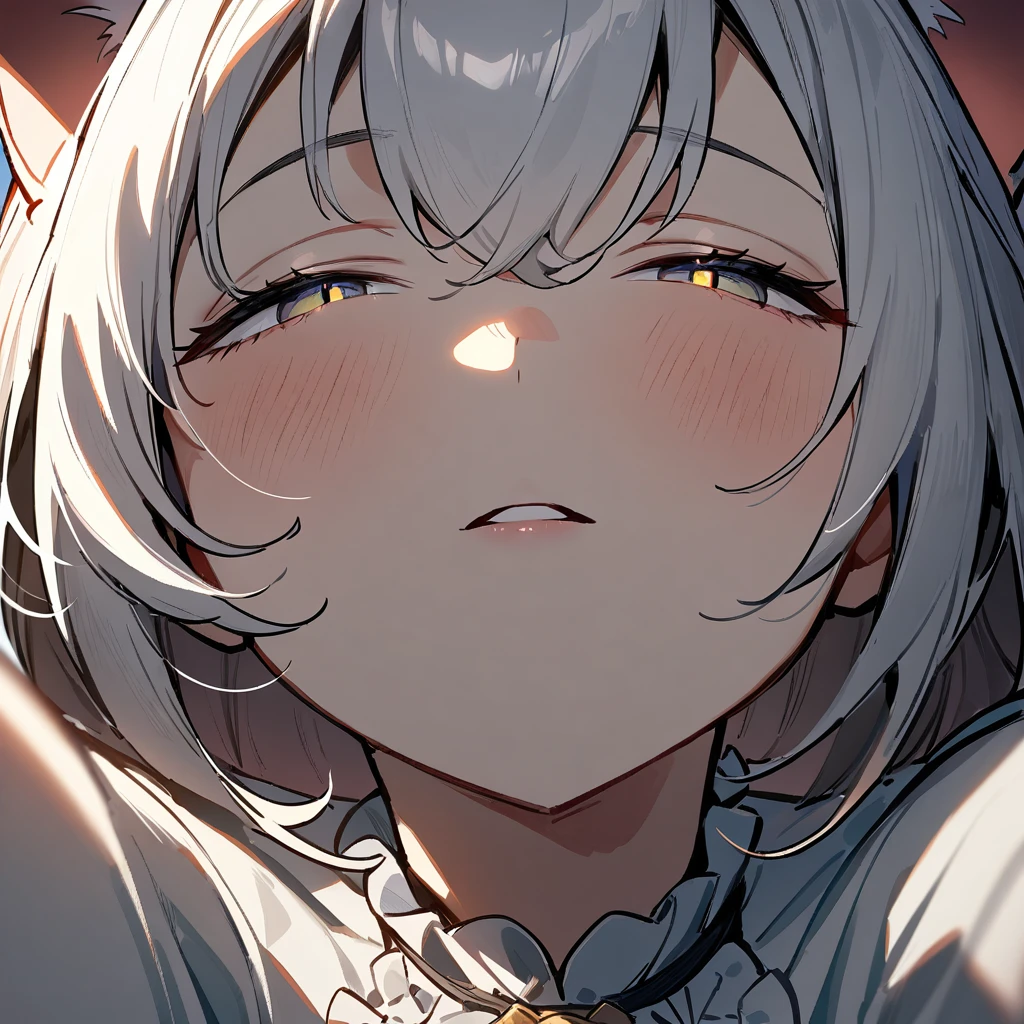 1girl,pov,portrait,Cat ear,Slit pupil,masterpiece,best quality, very aesthetic,absurdres,highlight,center frills,cat ear,medium shot,looking at viewer,half closed eyes,front view,(looking up),Parted lips,kiss,(from above),Dutch angle,straight-on,White hair,outstretched arms