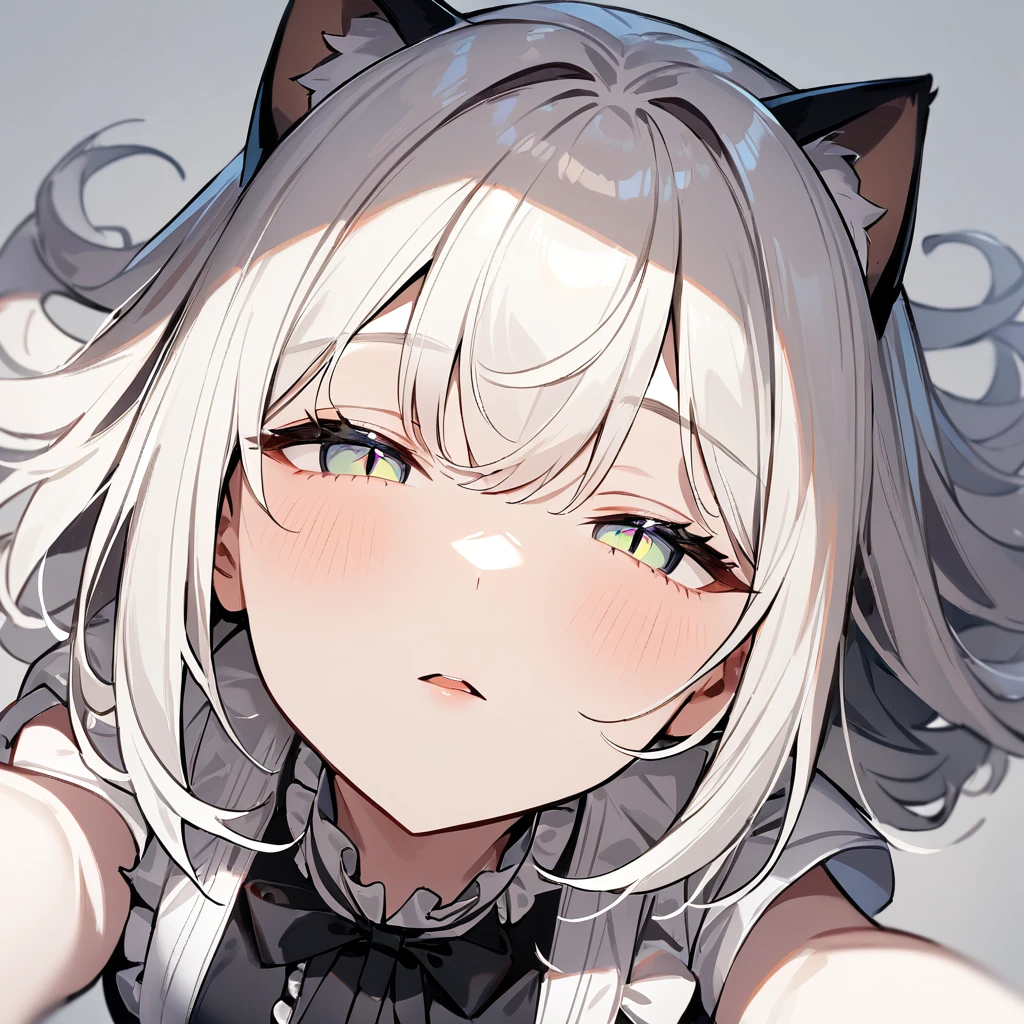 1girl,pov,portrait,Cat ear,Slit pupil,masterpiece,best quality, very aesthetic,absurdres,highlight,center frills,cat ear,medium shot,looking at viewer,half closed eyes,front view,(looking up),Parted lips,kiss,(from above),Dutch angle,straight-on,White hair,outstretched arms