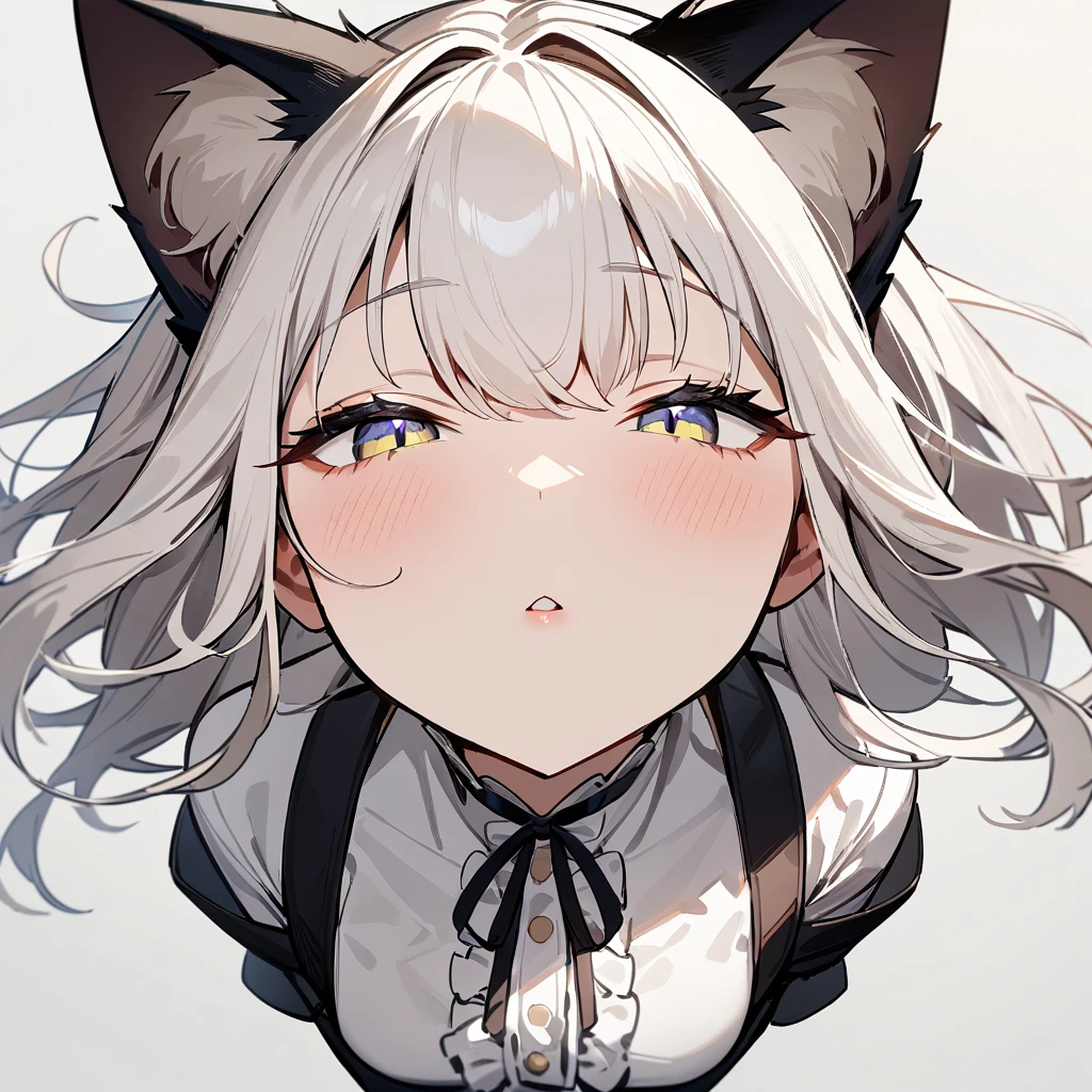 1girl,pov,portrait,Cat ear,Slit pupil,masterpiece,best quality, very aesthetic,absurdres,highlight,center frills,cat ear,medium shot,looking at viewer,half closed eyes,front view,(looking up),Parted lips,kiss,(from above),Dutch angle,straight-on,White hair,arms,imminent kiss