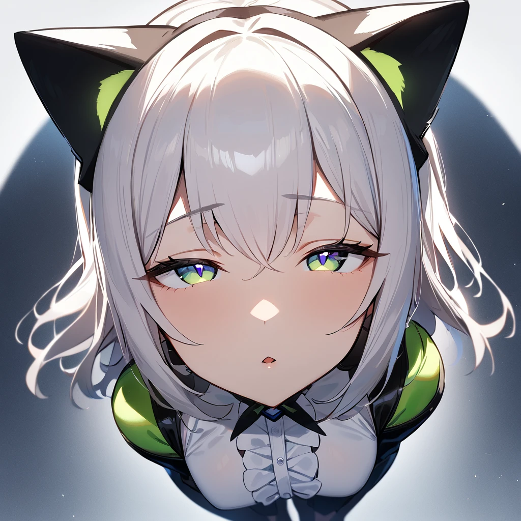 1girl,pov,all force,Cat ear,Slit pupil,masterpiece,best quality, very aesthetic,absurdres,highlight,center frills,cat ear,medium shot,looking at viewer,half closed eyes,front view,(looking up),Parted lips,kiss,(from above),Dutch angle,straight-on,White hair,arms,imminent kiss