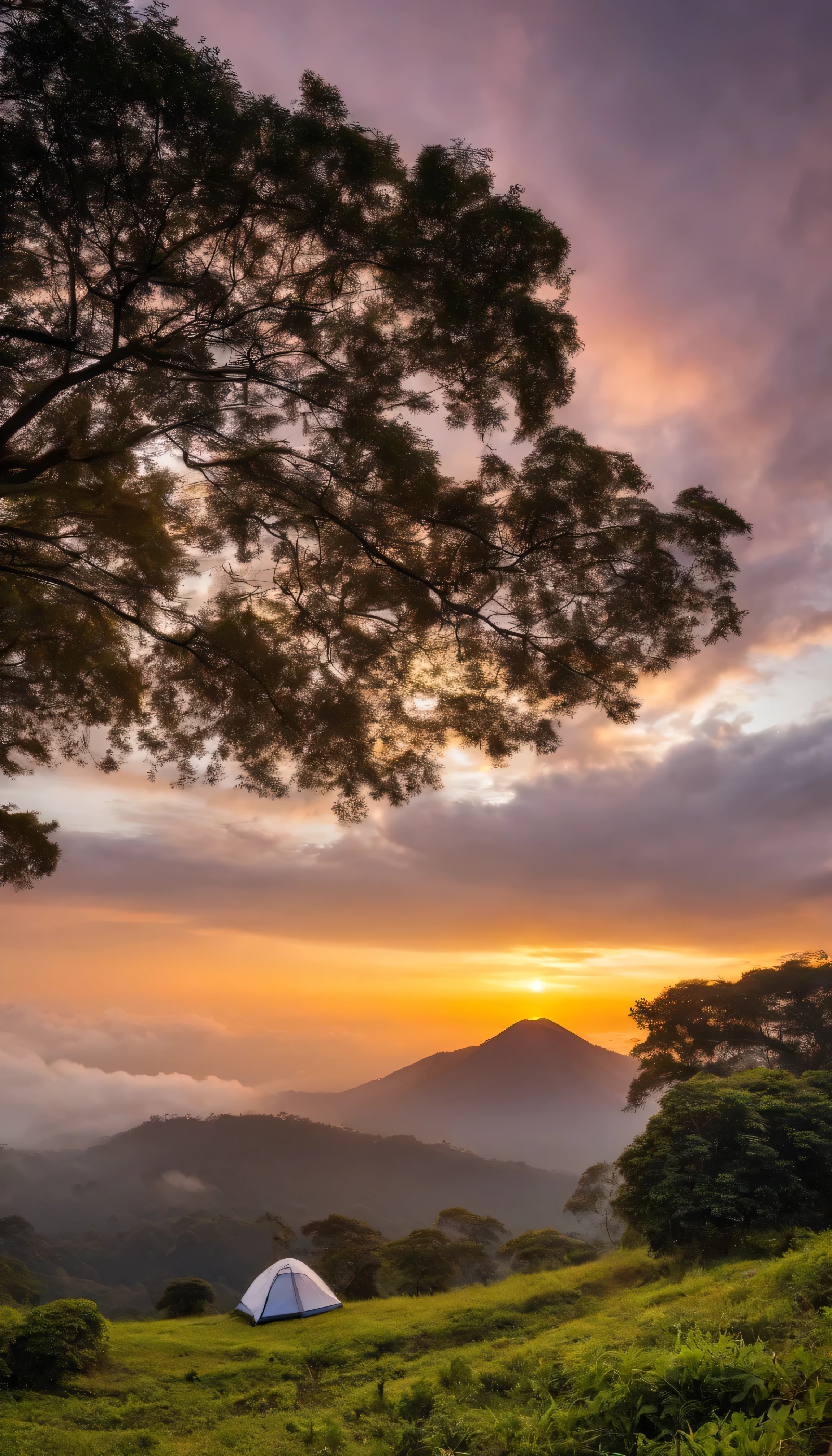 Bogor peak, camping, sunset, picnic area 