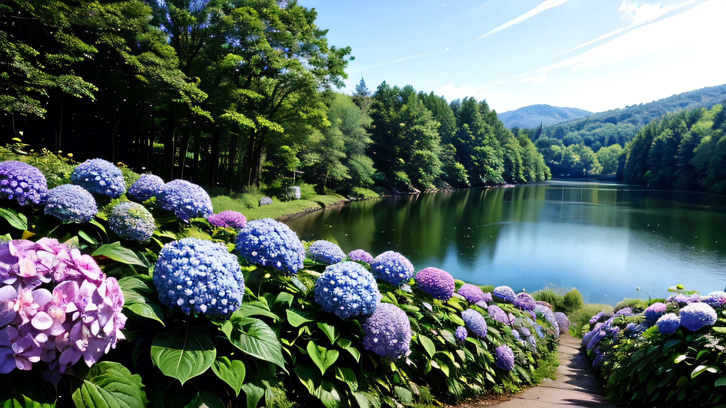 hydrangea beautiful Soothing views