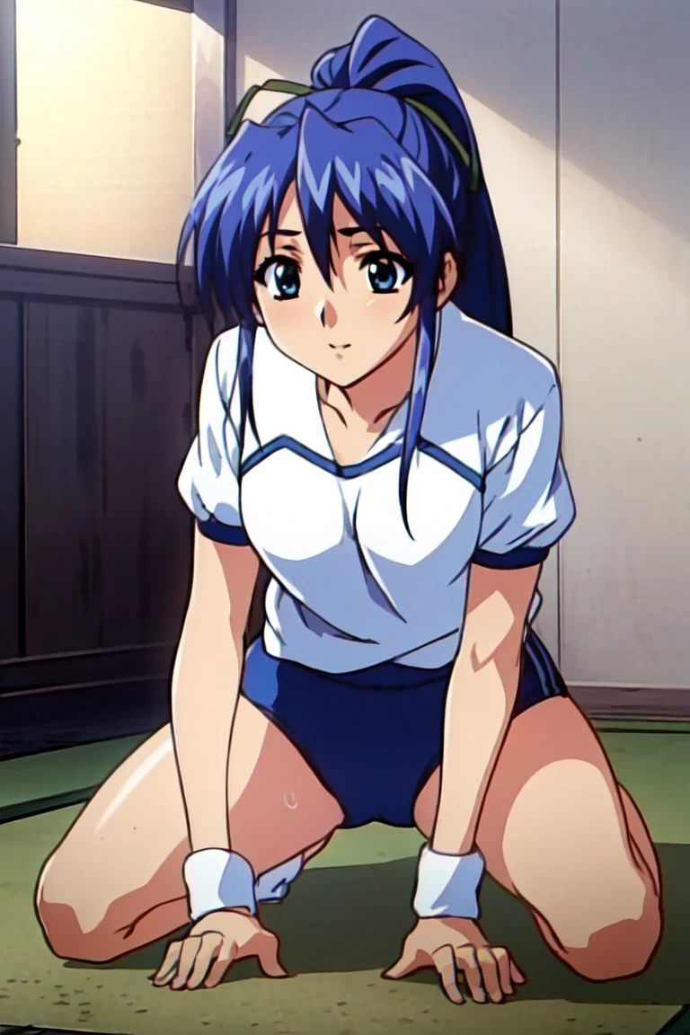 NSFW,(((1girl,1boy,sex,vaginal))), ,masterpiece,Best Quality,Floral background,
Looking at Viewer,Smile,
Kazumi Amano,
Long hair,High Ponytail,Hair Ribbon,Blue hair,Sidelock eyelashes,Blue eyes,lip stick,
Short sleeves,Leotards under clothes,
wristbands,
legwarmers,shoes,