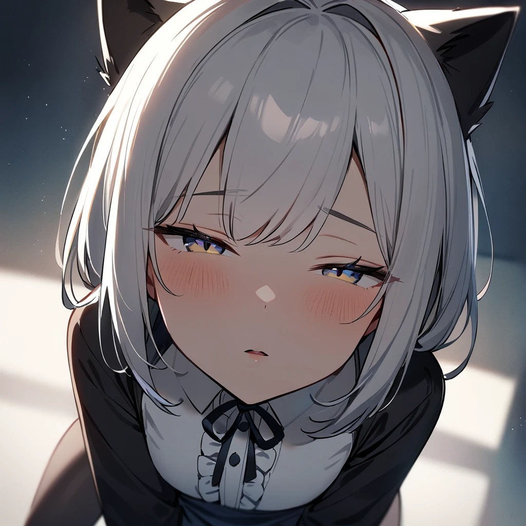 1girl,pov,all fours,Cat ear,Slit pupil,masterpiece,best quality, very aesthetic,absurdres,highlight,center frills,cat ear,medium shot,looking at viewer,half closed eyes,front view,Parted lips,kiss,Dutch angle,straight-on,White hair,arms,imminent kiss