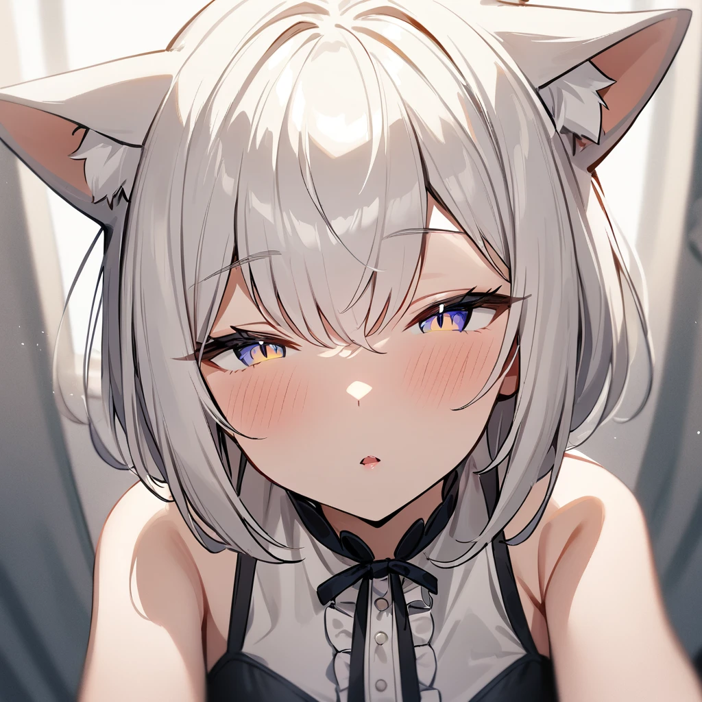 1girl,pov,all fours,Cat ear,Slit pupil,masterpiece,best quality, very aesthetic,absurdres,highlight,center frills,cat ear,medium shot,looking at viewer,half closed eyes,front view,Parted lips,kiss,Dutch angle,straight-on,White hair,arms,imminent kiss